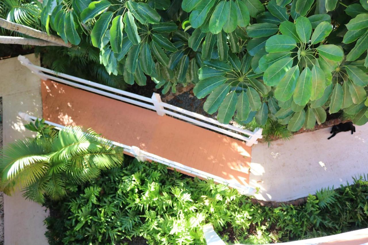 Maui Garden Oasis Villa Lahaina Eksteriør bilde