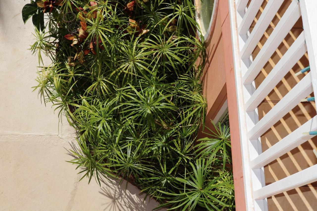 Maui Garden Oasis Villa Lahaina Eksteriør bilde
